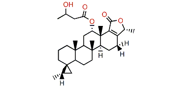 Honulactone B